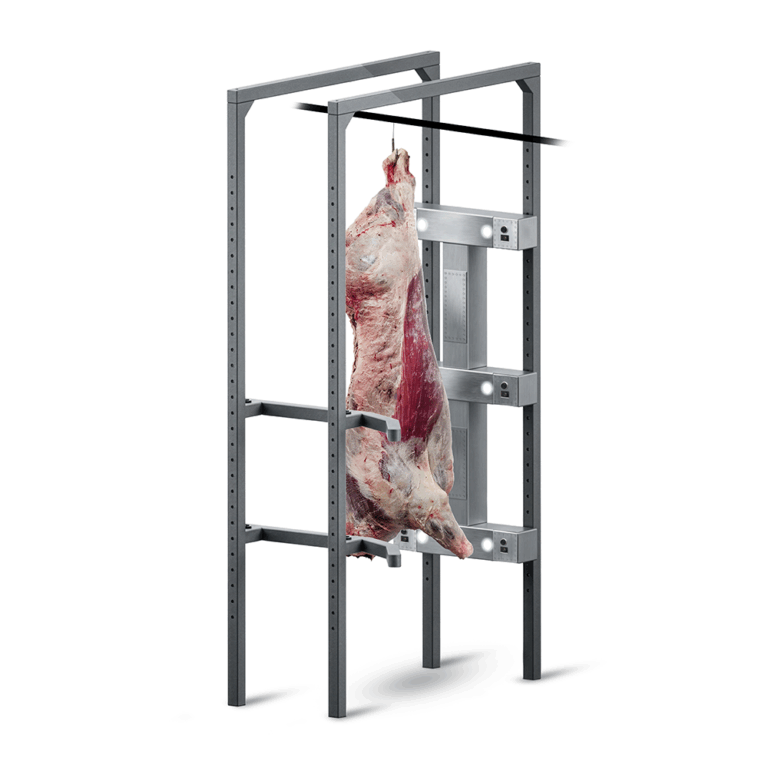 Estibeef 2